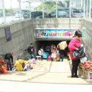 파란망고 이미지