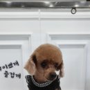 이쁘개즐겁개 이미지