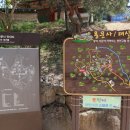 동향각 | 예천 뚜벅이 챌린지 - 용문사