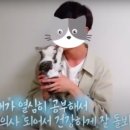진심목장 이미지