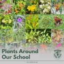 Uplands-beautiful plants around our campus! 이미지