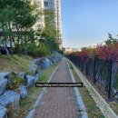 양우내안애2차에듀타운아파트 경로당(남양 17리) | 남양 양우내안애 2차 에듀타운 둘러보기!?