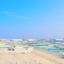 (주)액션스쿠바 이미지