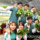 정선산나물 - 정선군 재동길 187 | 정선산나물