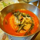 토성오리 이미지