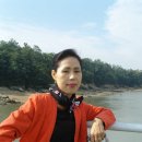 인천공항초교 신도분교 이미지