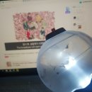 쾌남헤어클럽 | 사우디콘 후기+지상최대힐링v라이브 후기🥺☺💜💜💜💜💜💜💜(+)