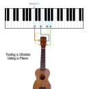 플레이 우쿨렐레 이미지