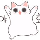 (주)가야엘리베이터 이미지