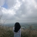 엠제이게스트하우스 - 종로구 삼일대로17길 51 | 뚜벅이여행] 협재에서 판포, 인판포 카페, 새별오름, 엠제이 돼지, 제주국제공항에서 김포, 아시아나항공