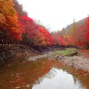 버스정류장 06-102 이미지