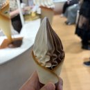 우티랑 | 역] 메인역 근처 둘러보기(출구 알아보기, 후추빵, 아이스크림, 사이폰커피, WooTea/우티) + 지하철 토큰