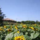 진상농장 이미지