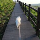 송정 박상진호수공원 입구 이미지