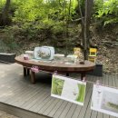 노원골유아숲 이미지