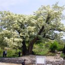 김진택농장 이미지