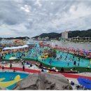 예천군체육사업소 티스토리