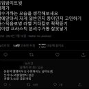 분홍땡땡이