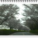 광주컨트리클럽 이미지