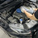 월드뉴모터스 이미지