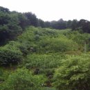 뱀사골민박촌 이미지