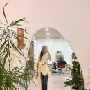 널그린헤어 | 대실역 헤어 - 뿌염 염색으로 동안 변신 후기, 널 그린헤어, 다사 미용실, 대실역 미용실