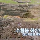 수월봉민박 이미지