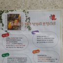 시골꼬맹이