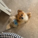 3호선 청라언덕역(2대) 이미지