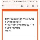 제주항공 국내선 카운터 발권 수수료 발생 이미지