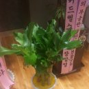 편한마음정신과의원 네이버블로그