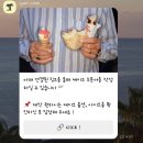 이파리 | 영등포시장역 귀여운 동물 레터링 케이크_이파리클럽 후기