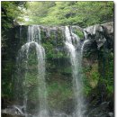 천제연폭포 이미지