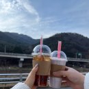 개팔상팔 | 수성구애견호텔 애견카페 개팔상팔 솔직후기