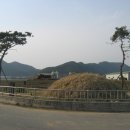 초월장군 이미지