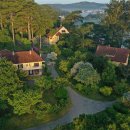 소나무 숲 리조트 이미지