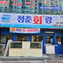 청춘회랑 이미지