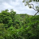 전기차충전소_느지리오름주차장 이미지