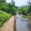 성자골1 이미지