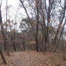 [광주 서구]금당산(304m) 다녀오기(2014/11/30/토) 이미지