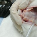 아쿠아 종합동물병원 이미지