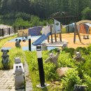 하이원펫클럽 이미지