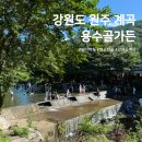 용수골 | 강원도 원주 계곡 용수골가든 후기 [물놀이,능이백숙,염소전골]
