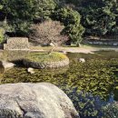 푸른나무 이미지