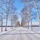 미림목장 이미지