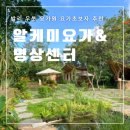 알케이영어학원 | [발리] 우붓 요가원 알케미 요가&명상센터 후기 (feat. 요가 초보자 수업 추천)