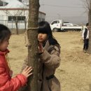 주덕초등학교 이미지