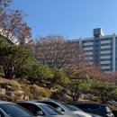 삼계어린이집 | 김해 맘님들 주목! 칠암 도서관 재오픈 한데요. ‼️[김해 주말 나들이 갈만한 곳]