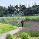 쉼이필요할때 이미지