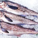 강릉코다리 이미지